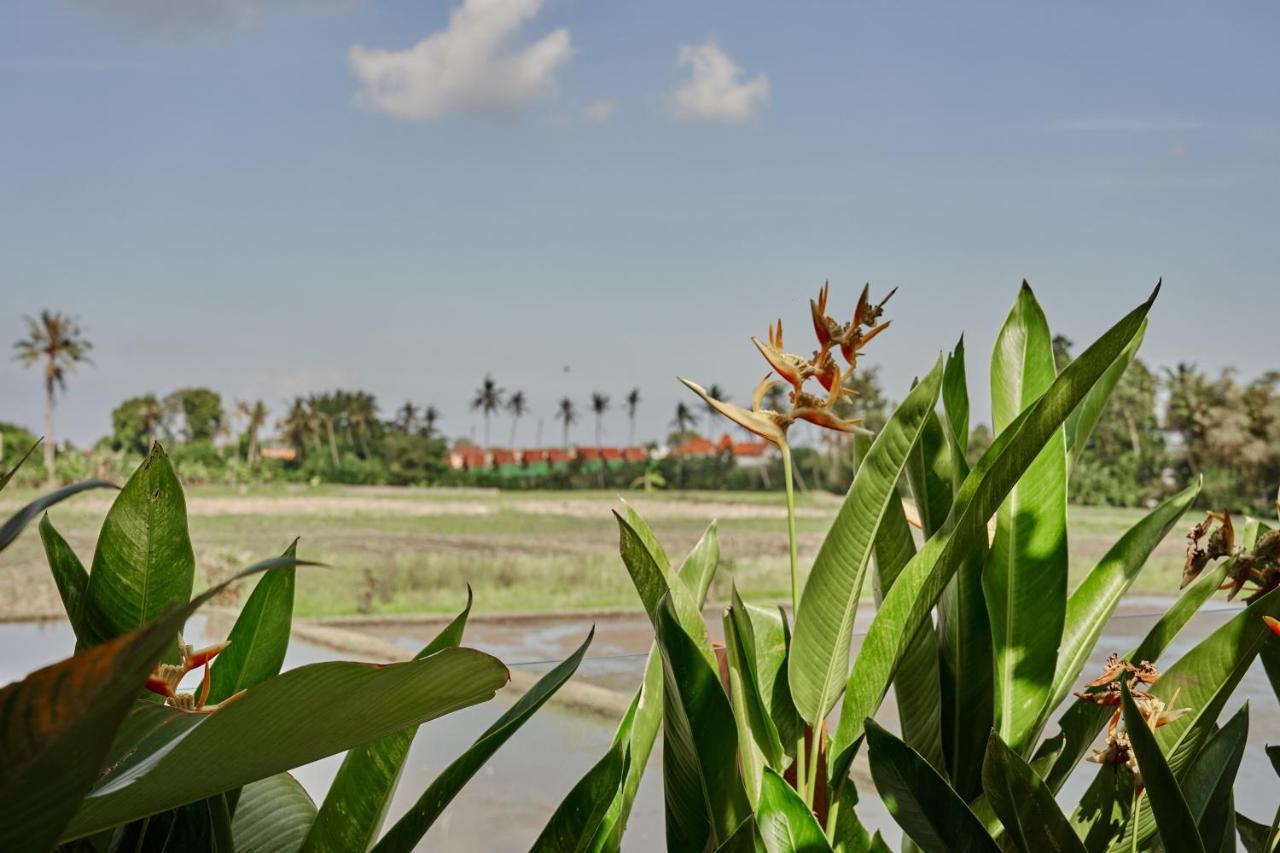 Bruann 3 Pererenan, Seseh, Canggu, Amazing View, 2 Bedroom